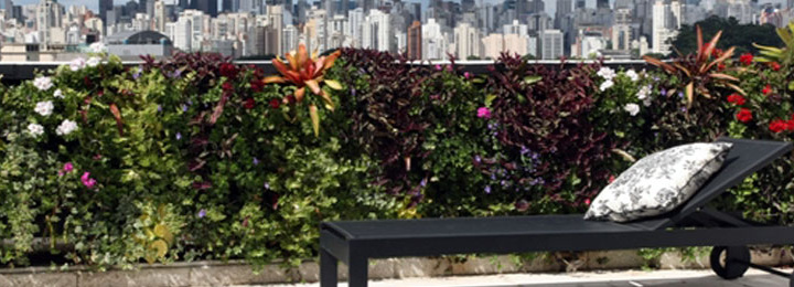 Vista frontal de muro verde, baixo, com altura de peitoril, todo coberto por folhagens, bromélias e flores coloridas. A área é a de uma cobertura residencial, com vista dos prédios da cidade de São Paulo ao fundo. à frente do muro está uma espreguiçadeira no cor preta com uma almofada com estampa floral em cima, que está localizada sobre piso de pedra sabão junto à piscina.